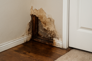 Wall Cavity Water Extraction